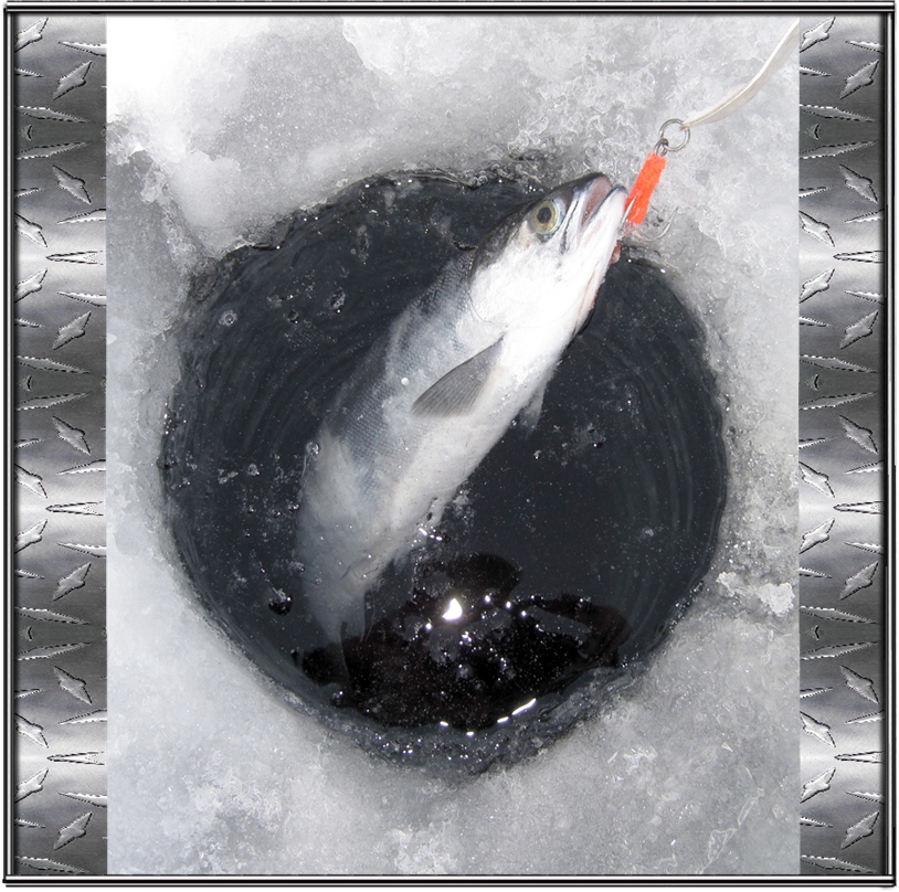 Ice fishing fish. Лунка рыбалка. Лунка во льду. Зимняя рыбалка лунка. Лунка на льду для зимней рыбалки.