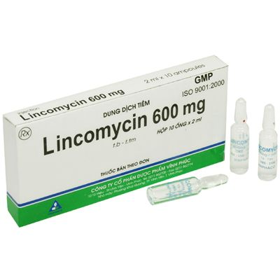 Линкомицин уколы в десну. Линкомицин 600мг ампулы. Линкомицин 600 мг. Линкомицин 600 мг уколы. Линкомицин гидрохлорид ампулы.