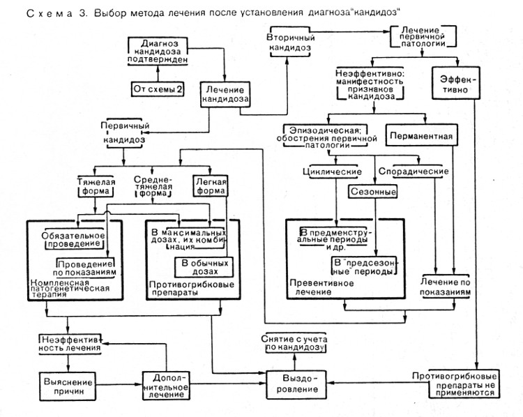 Кандидоз полости рта схема лечения. Схема лечения хронического кандидоза. Схема лечения молочницы. Схема лечения системного кандидоза. Лечение молочницы схема лечения.