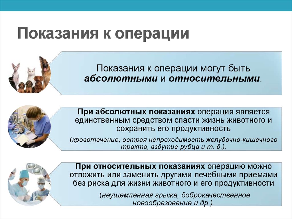 Показания и противопоказания к операции. Показания к операции. Абсолютные показания к операции. Абсолютные и относительные показания к операции. Относительные показания к операции.