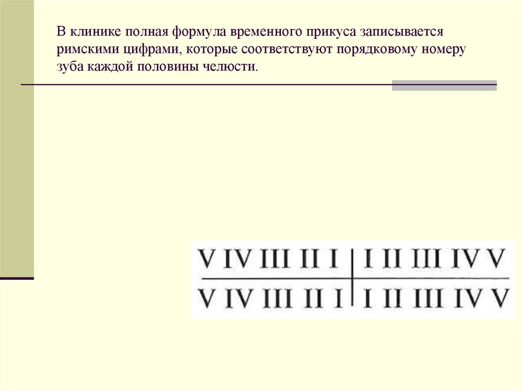 Временно записать. Полная формула временного прикуса. Зубная формула временного прикуса. Временный прикус зубная формула. Полная формула временного прикуса воз.