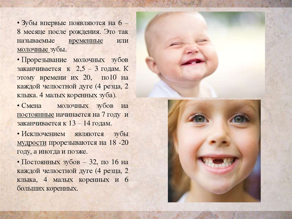 Почему зубы отличаются. Молочные зубы появляются. Возрастные особенности языка анатомия.
