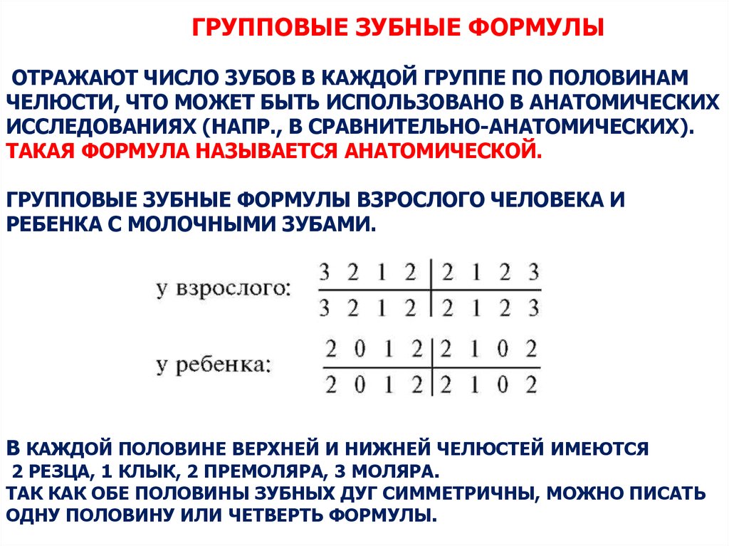 Зубная формула человека. Клиническая зубная формула молочных зубов. Зубная формула молочных и постоянных зубов. Анатомическая (групповая) формула постоянных зубов:. Буквенно-цифровая формула зубов.