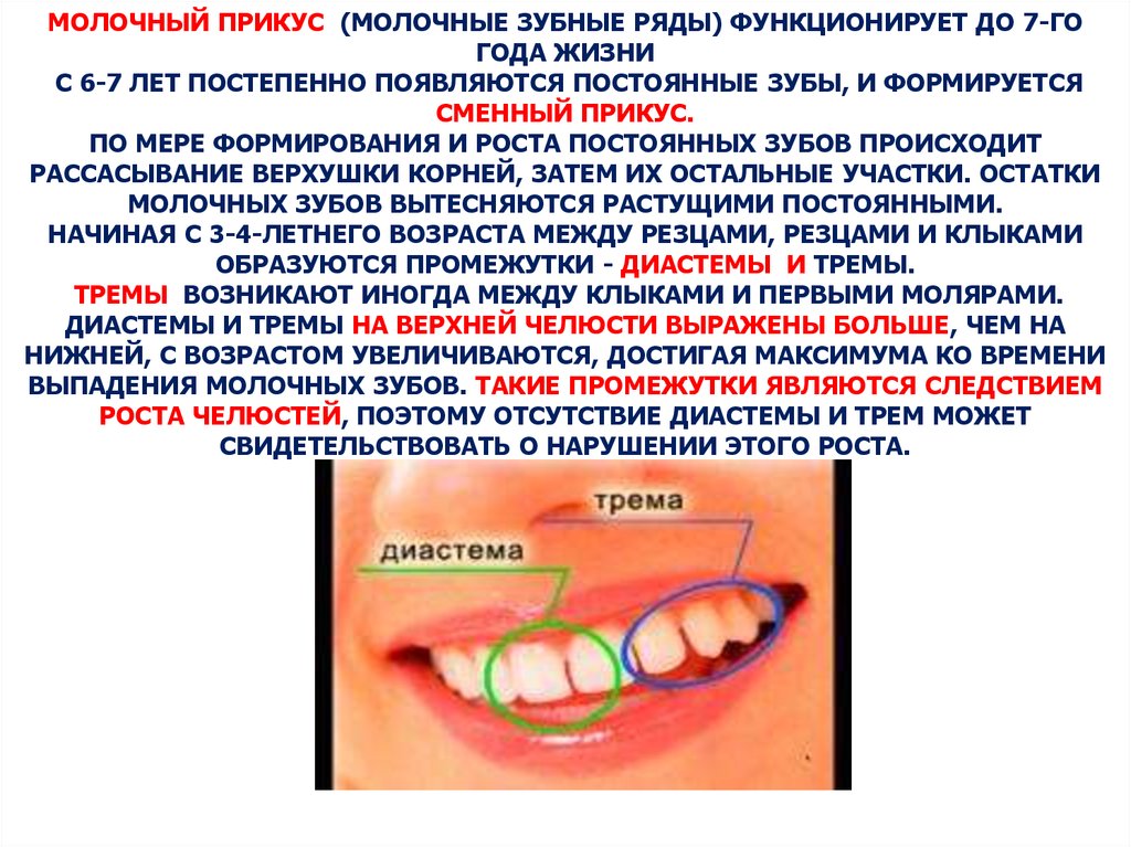 Периоды роста челюстей. Периоды формирования молочного прикуса. Характеристика молочного прикуса.