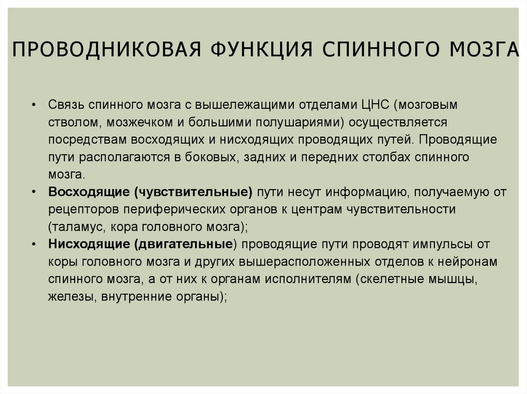 Проводников функции спинного мозга. Проводниковая функция спинного мозга. Проводниковая функция спинного мозга осуществляется. Проводниковой функции спинного мозга. Проводников функция спинного мозга.