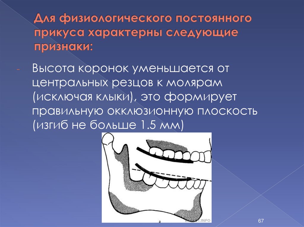 Презентации по ортодонтии