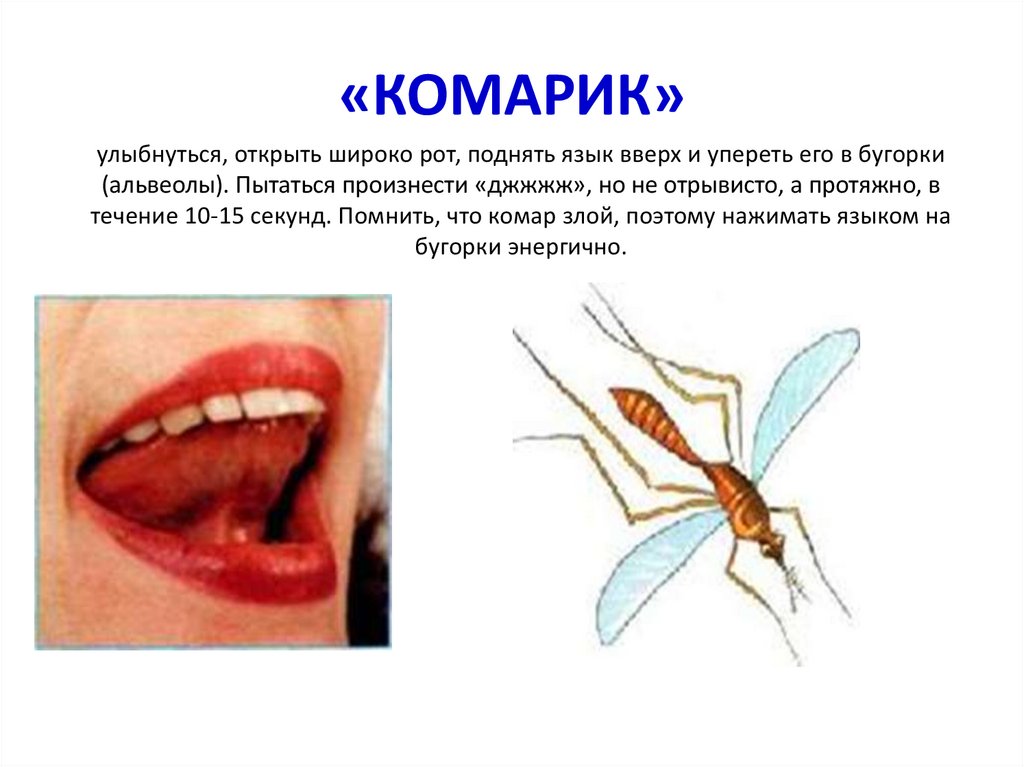 Звук комара. Артикуляционная гимнастика комарик. Артикуляционная гимнастика для детей комарик. Упражнение комарик артикуляционная гимнастика. Артикуляционная гимнастика комарик описание.