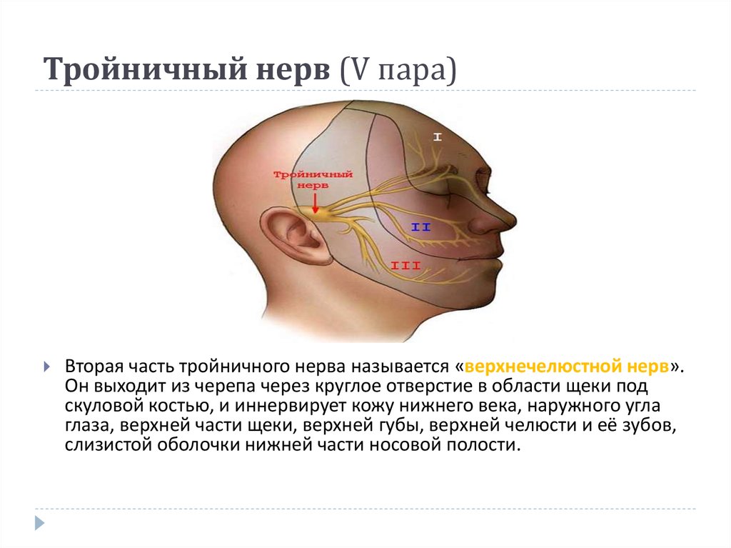 Комбилипен тройничный нерв