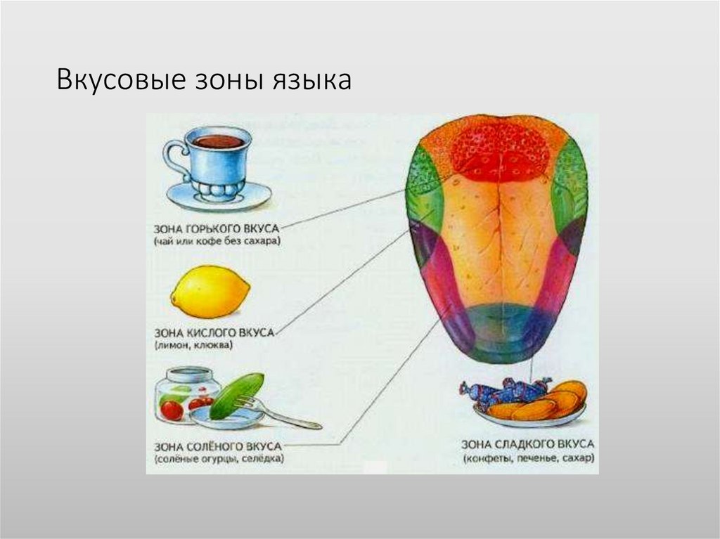 Схема чувствительности языка