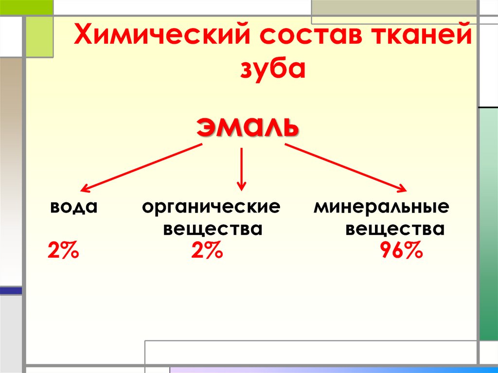 Обмен веществ зуба