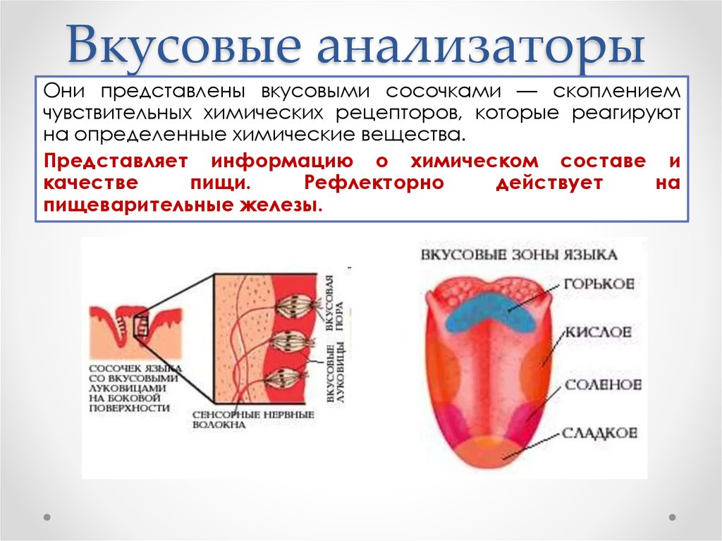 Схема чувствительности языка