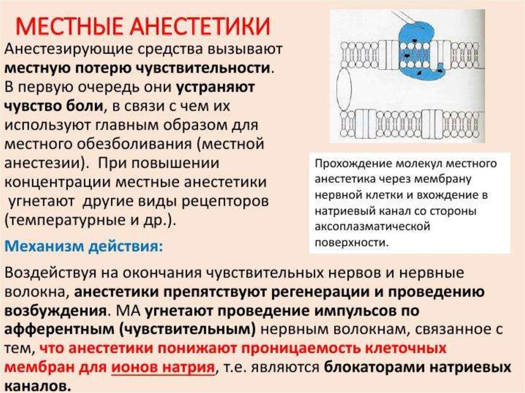 Местные анестетики