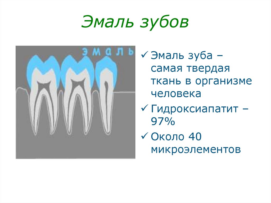 Эмаль зуба презентация