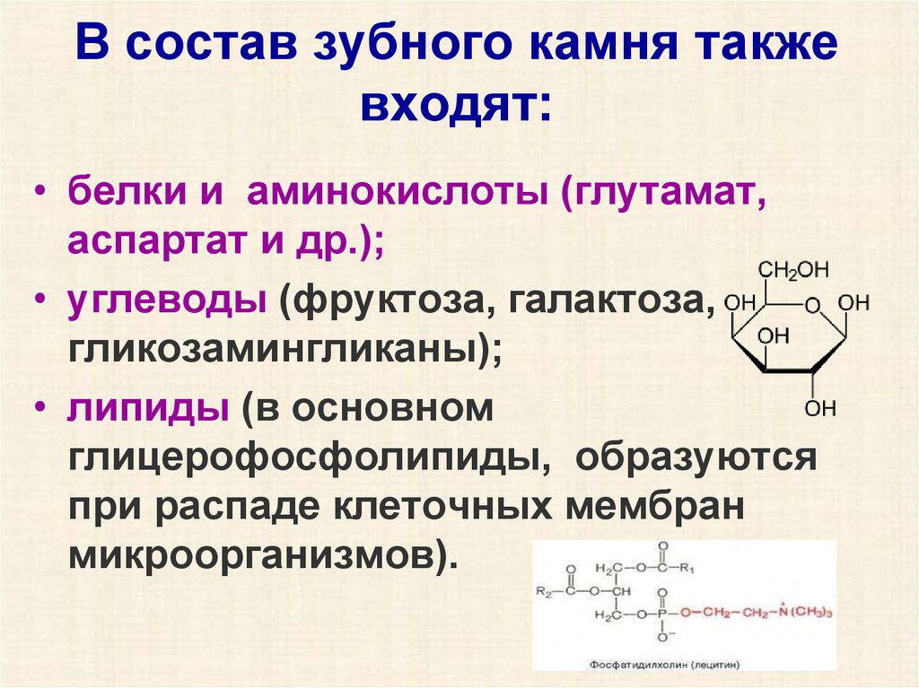 Входящий также в состав. Химический состав зубного камня. Хим состав зубного камня.