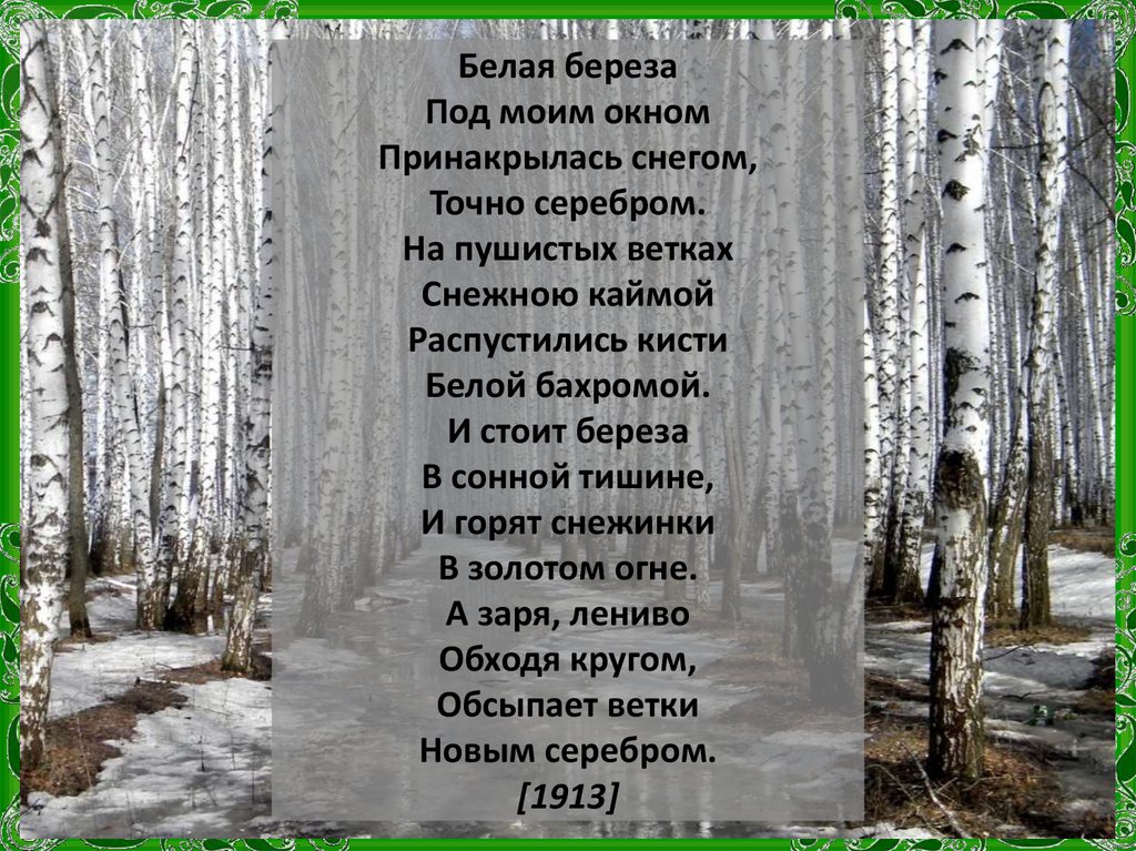 Стихотворение береза поэт. Белая берёза под моим окном. Белая берёза под моим окном Принакрылась снегом точно серебром. Стихотворение белая береза. Стих про березу.