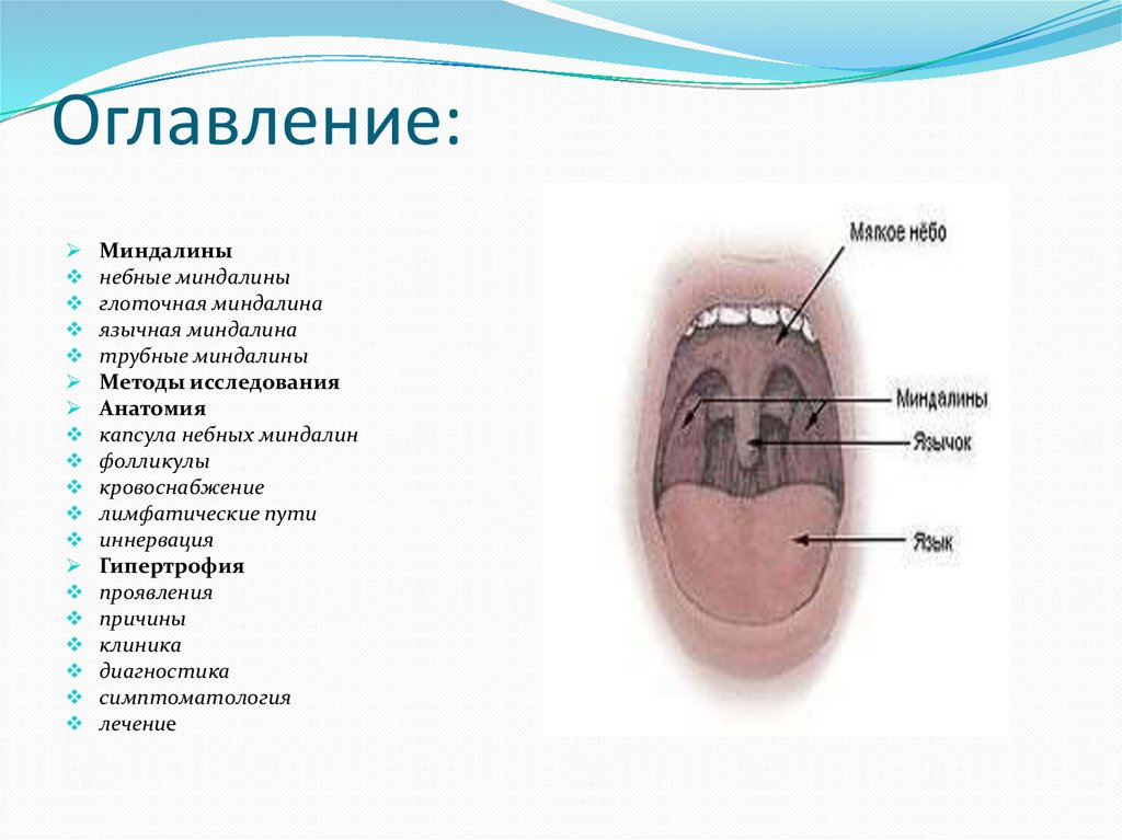 Составить схему лимфоидного кольца указать парные и непарные миндалины