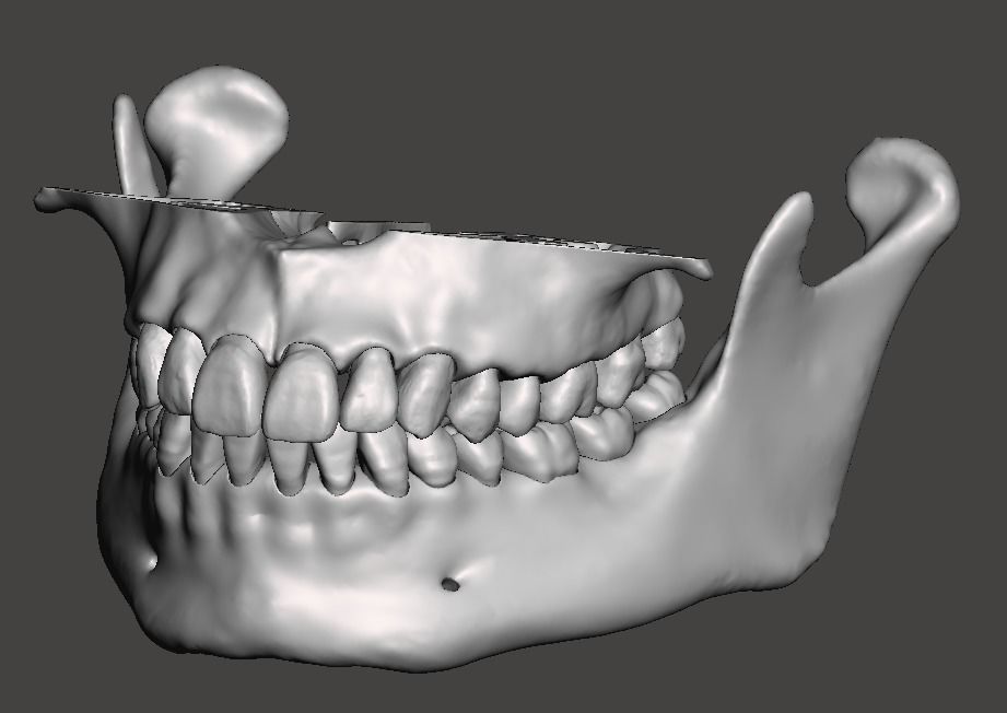 Зд зуб. 03д модель челюсти. Моделирование челюсти. 3д зубы моделирование.