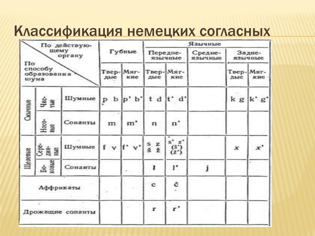 Схема освоения гласных и согласных фонем