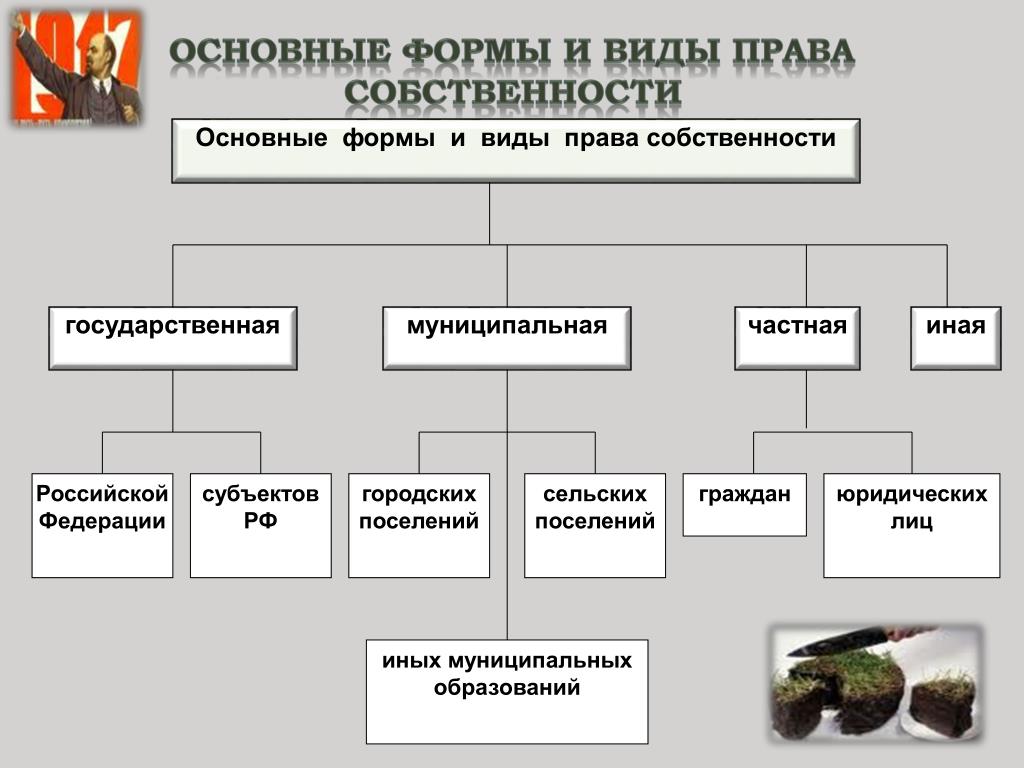 Виды собственности на землю схема