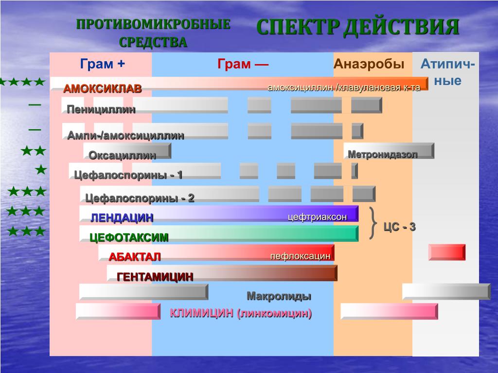 Спектр действия. Цефтриаксон спектр действия. Цефотаксим спектр действия. Цефалоспорины метронидазол. Гентамицин сульфат спектр антимикробного действия.