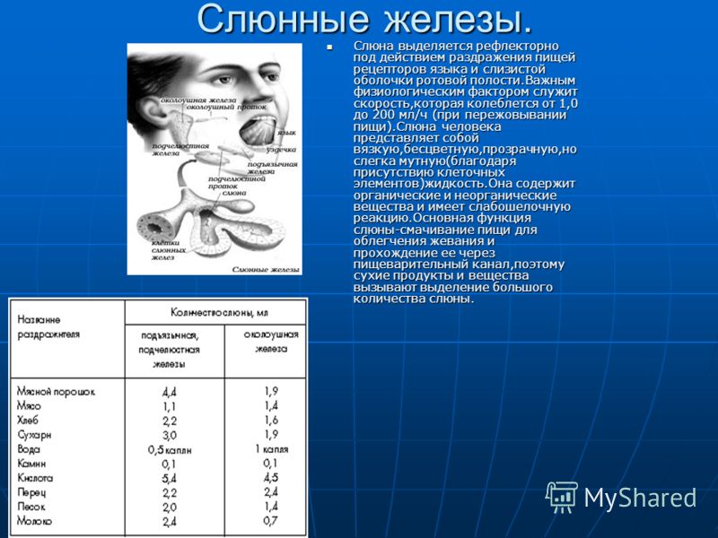 Слюноотделение повышенное причины у взрослых женщин