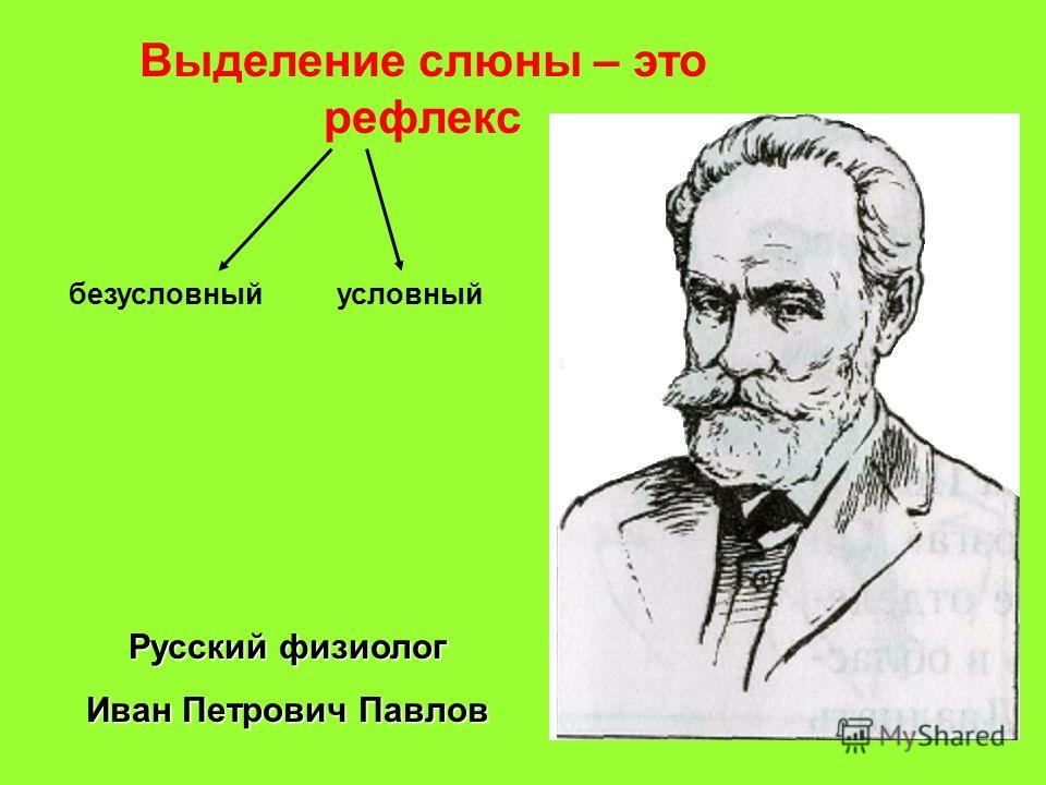 Условный рефлекс выделение слюны. Выделение слюны рефлекс. Условные рефлексы выделение слюны. Выделение слюны Павлов. Безусловно рефлекторное выделение слюны.