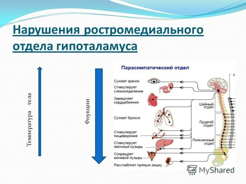 Сильное слюноотделение причины