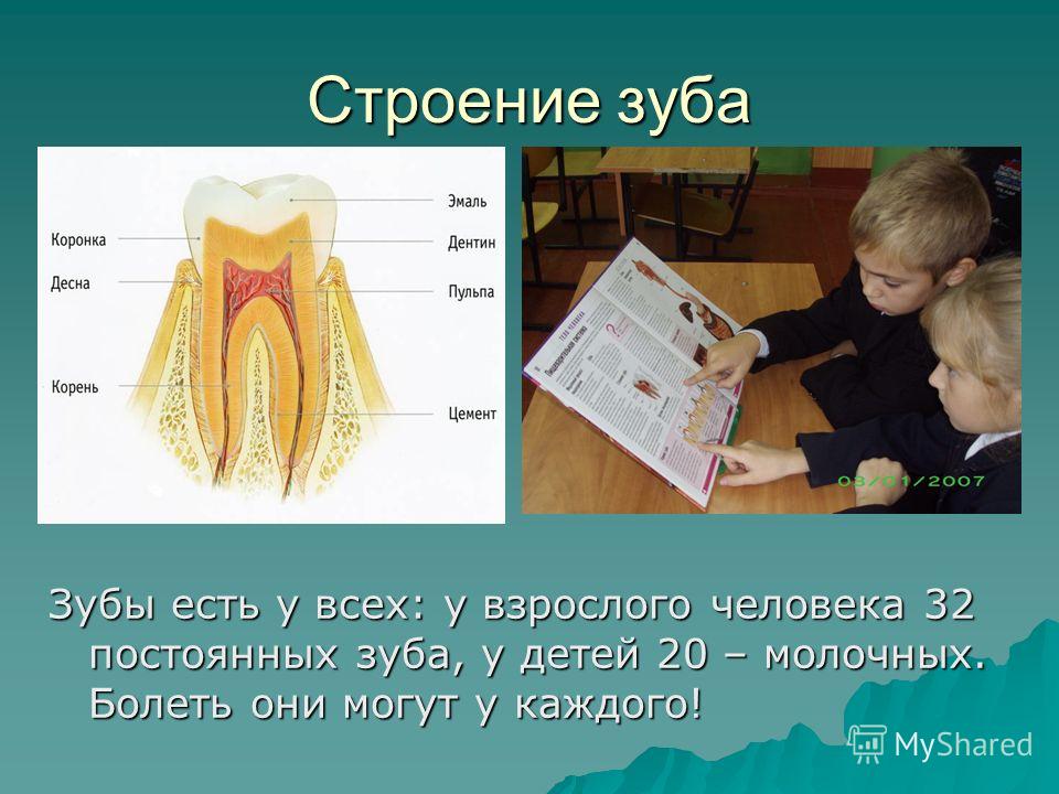 Зубы презентация для детей