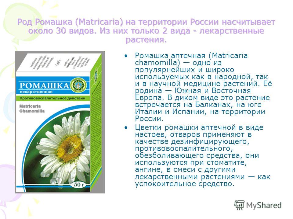 Ромашка аптечная полезные свойства применение и лечение. Описание ромашки. Доклад про ромашку. Ромашка краткое описание. Сообщение про лечебную ромашку.