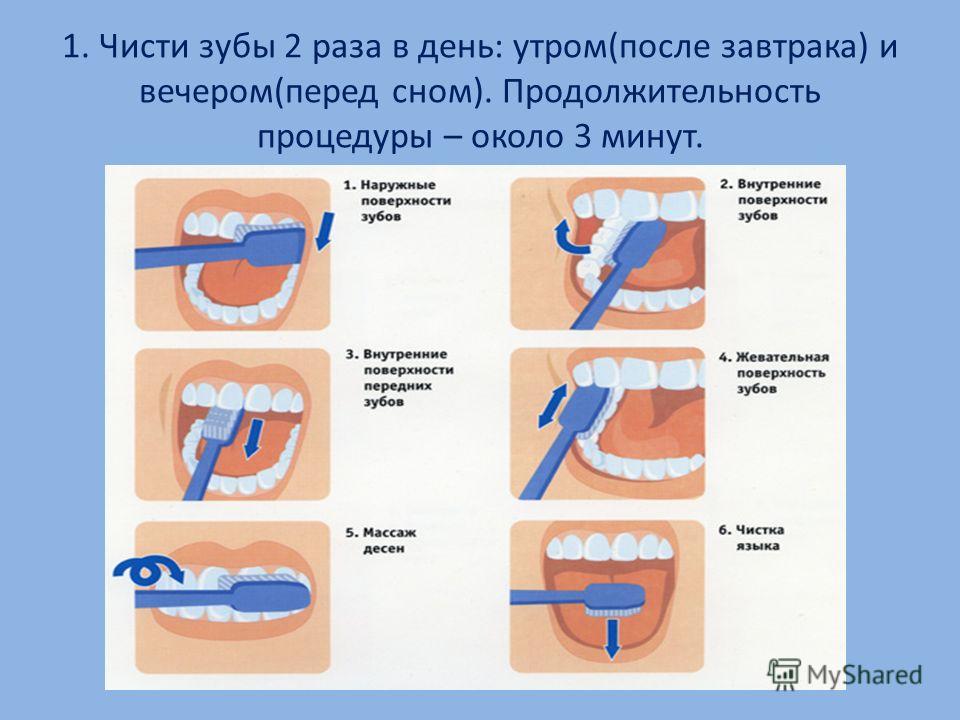 Когда лучше чистить зубы. Алгоритм чистки зубов. Как правильно чистить зубы. Алгоритм чистки зубов для детей. Правильная технология чистки зубов.