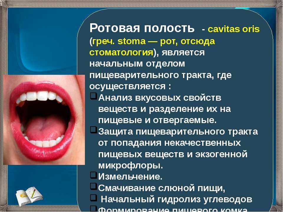 Сообщения полости рта. Ротовая полость презентация. Информация про ротовую полость. Сообщения ротовой полости. Важность ротовой полости.