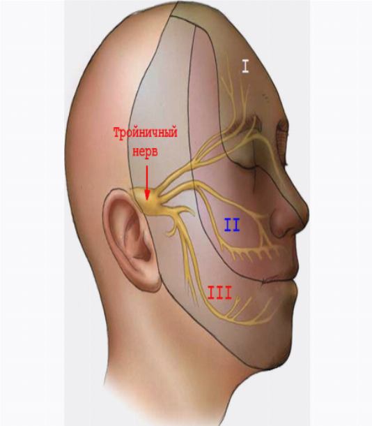 Троичный лицевой нерв. Триггерные зоны тройничного нерва. Воспаление тройничного нерва. Глазные нервы на лице. Тройничный нерв на лице.