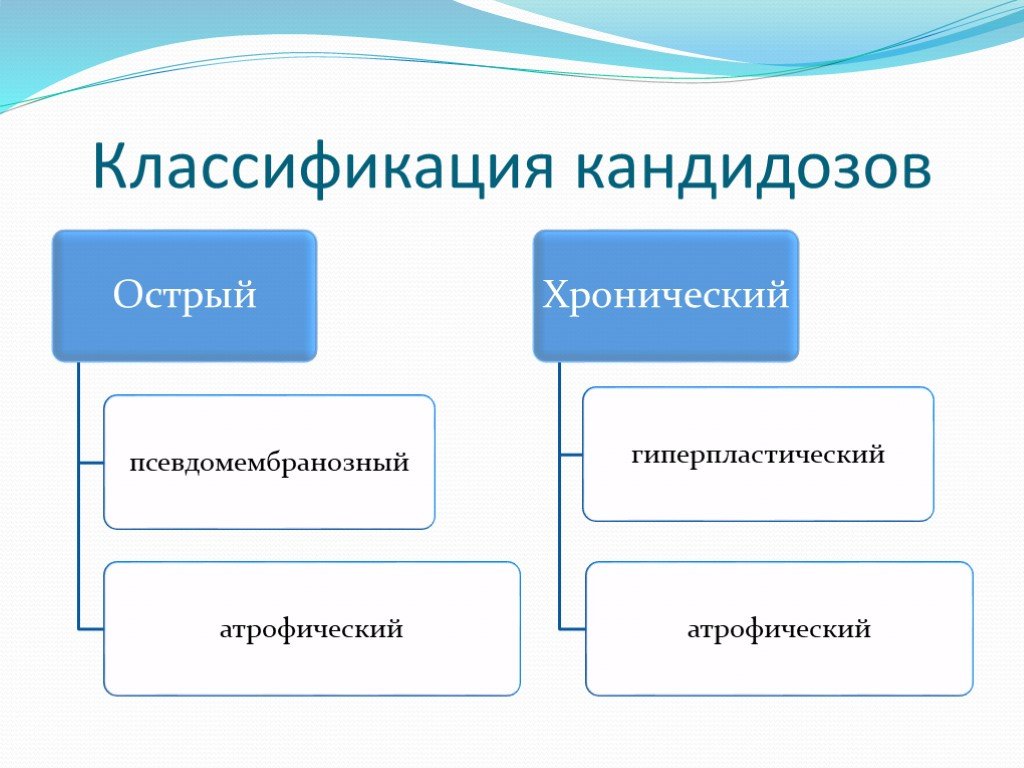 Класси. Классификация кандидоза. Кандидоз полости рта классификация. Candida классификация. Кандидоз систематика.