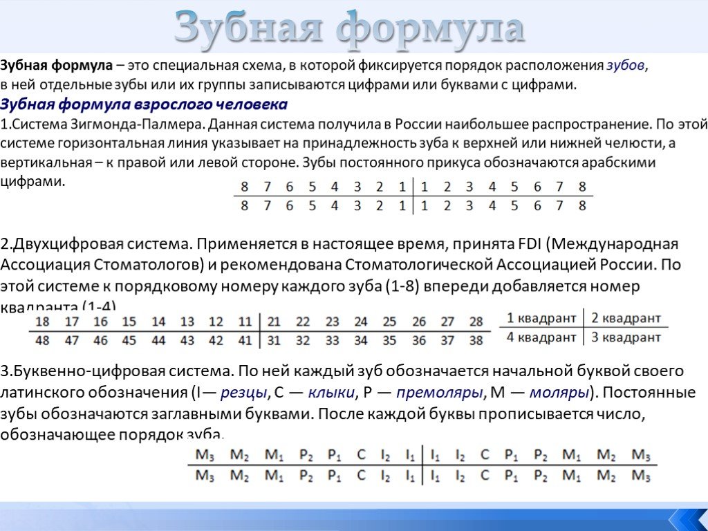 Формула международный. Зубная формула молочных и постоянных зубов. Зубная формула постоянных зубов имеет вид. Зубная формула Зигмонда-Палмера. Зубная формула взрослого таблица.