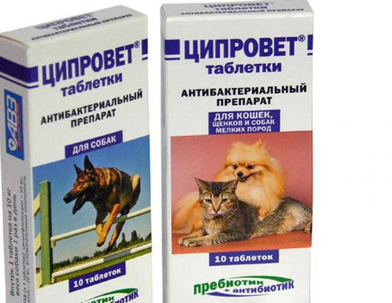Ципровет таблетки для кошек