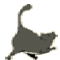 Лейла