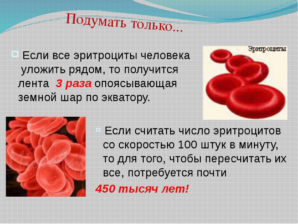 Много гемоглобина в крови. Эритроциты крови человека. Для чего нужны эритроциты. Человеческий эритроцит. Кровяные клетки человека.