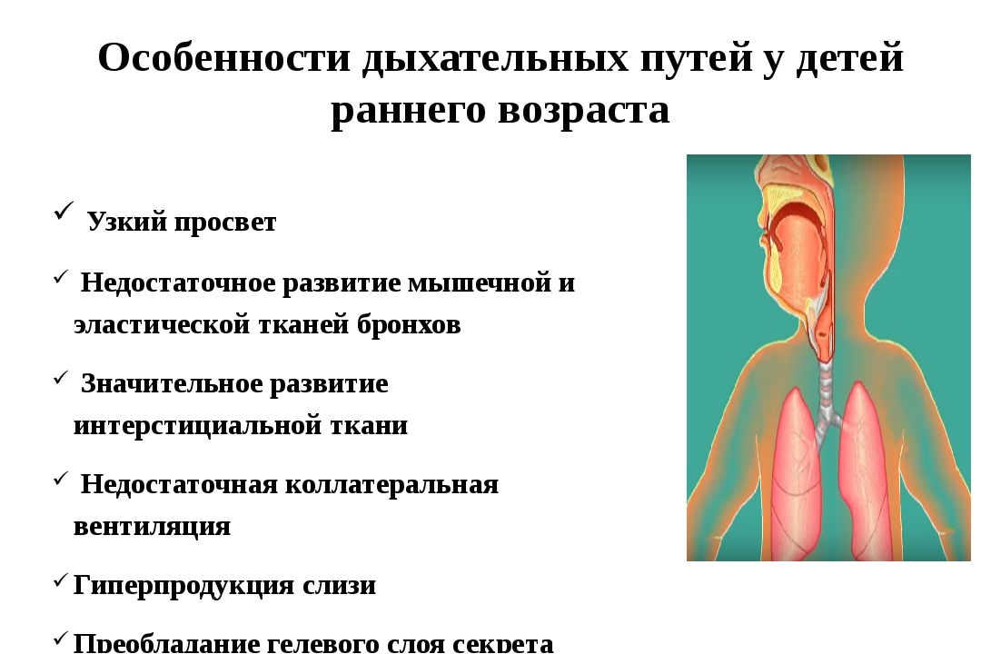 Патологии дыхательных путей. Особенности строения дыхательных путей у новорожденных. Анатомия дыхательных путей у детей. Болезни дыхательных путей у детей. Особенности дыхательной системы.