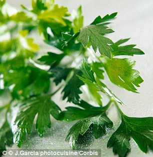 Chewing on herbs like parsley and fennel freshen breath as they contain compounds that kill bacteria