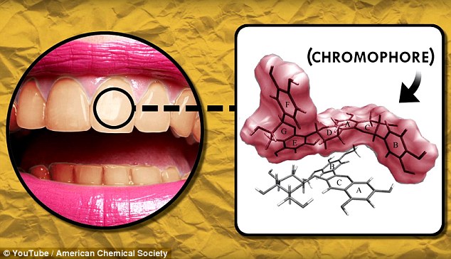 Whitening gels use peroxide, an oxidising agent which ‘steels’ electrons from the molecules staining the teeth. This disrupts the chromophore - which gives the molecule its colour - in the same way bleach cleans stains from clothes (video still pictured)