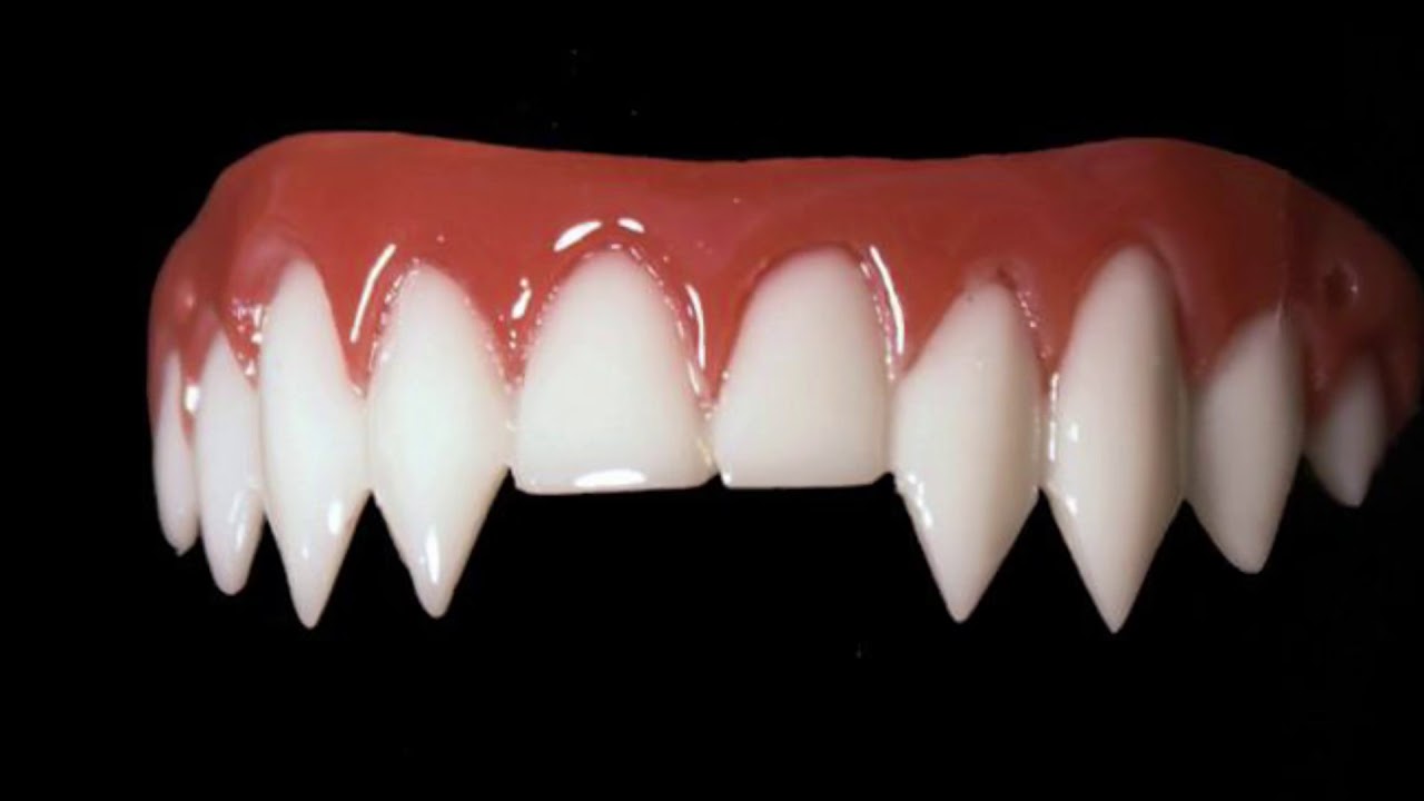 Форма зубов клыки