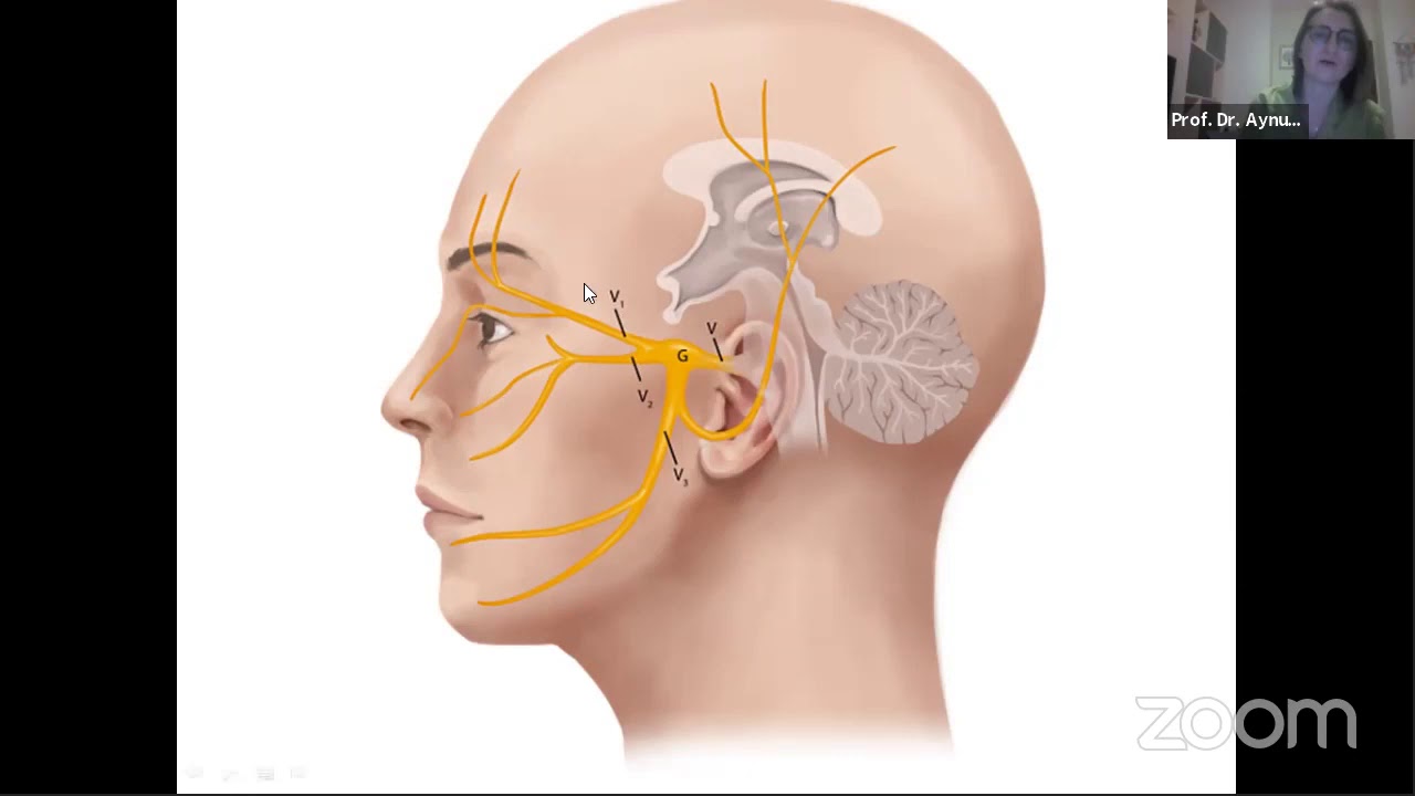 Нервы на лбу. Лицевой троичный тройничный нерв. Neuralgia тройничный нерв. Лицевой нерв и тройничный нервы это. Тройничный нерв нерв нерв.
