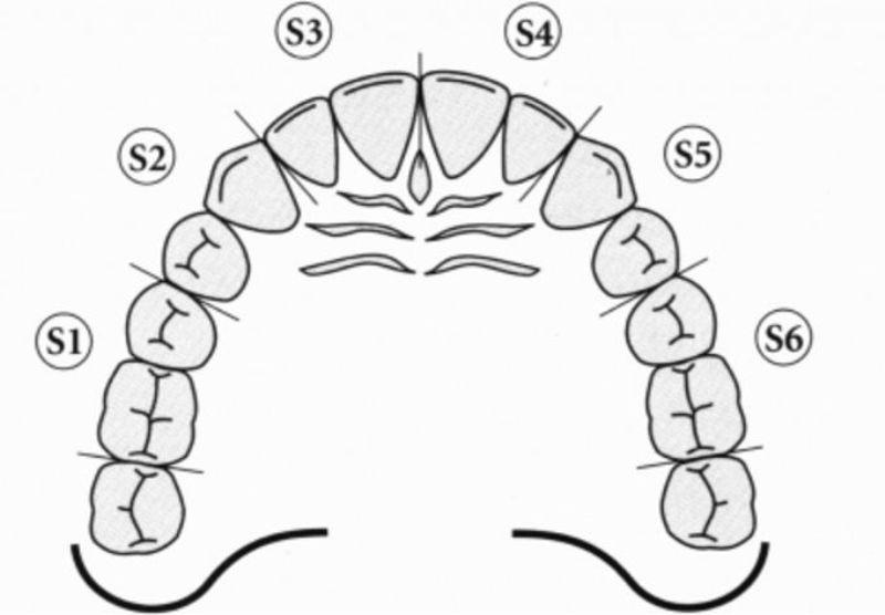 Расположение зубов по номерам у взрослых