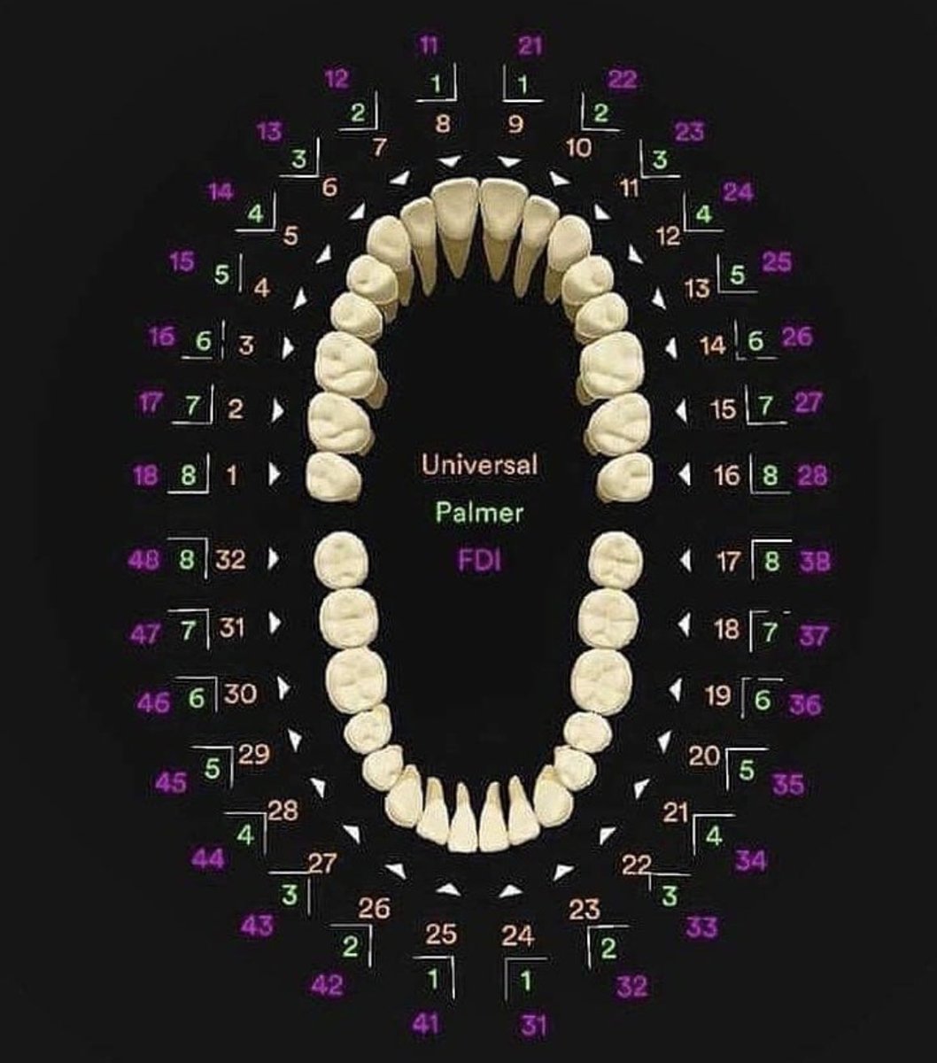 Картина по номерам стоматология