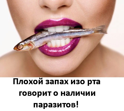 Запах рыбы изо рта