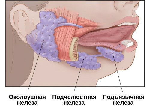 Увеличение околоушной железы. Около ушной сиалоденит. Подъязычный сиалоаденит. Сиаладенит слюнной железы. Сиалоаденит подчелюстной области-.