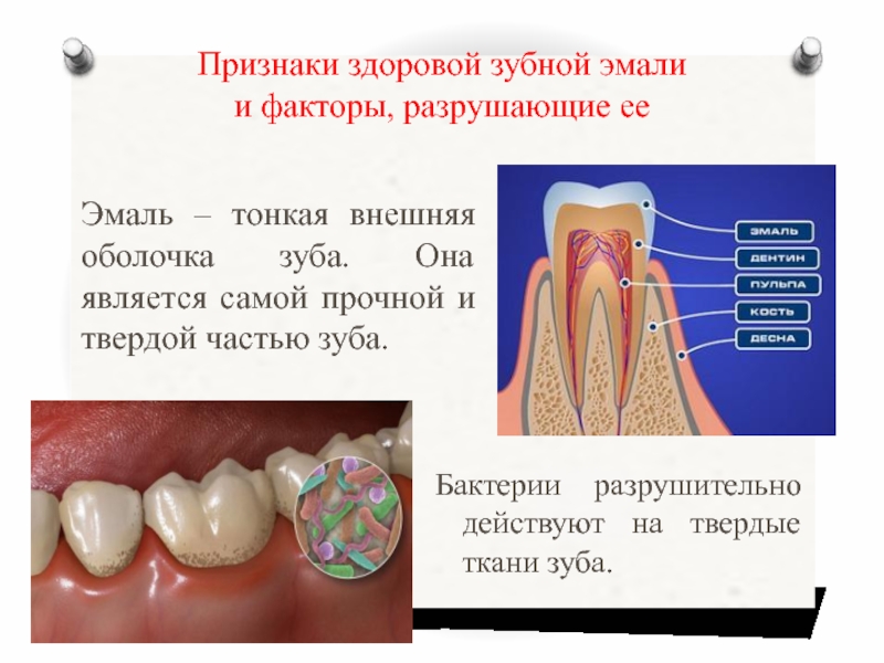 5 признаков зубов