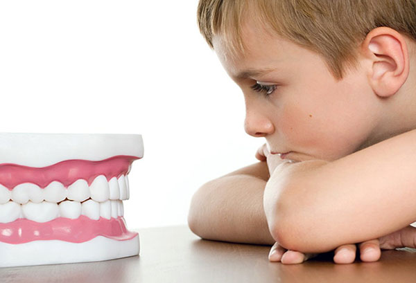 Мальчик смотрит на макет зубов