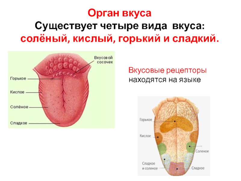 Язык есть изображение всего что существовало существует и будет существовать