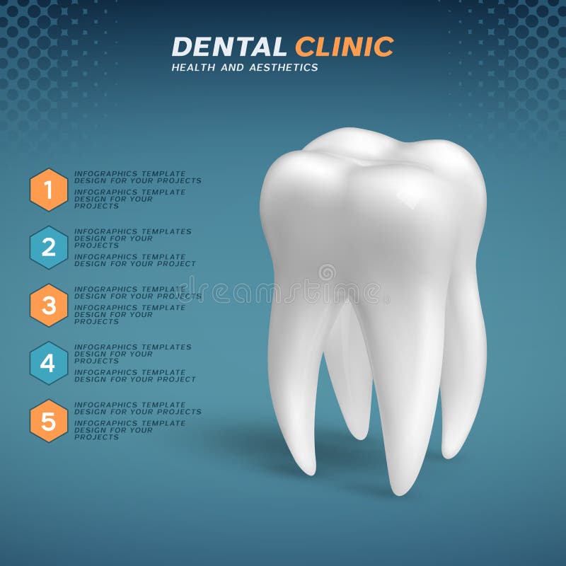 Dental clinic infographic with molar tooth icon. Vector illustration vector illustration